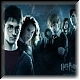 Harry, Hermione, Luna, Cho, Ron, Ginny, & Neville 73e