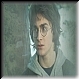 Harry Potter 76d
