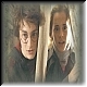 Harry & Hermione 78d