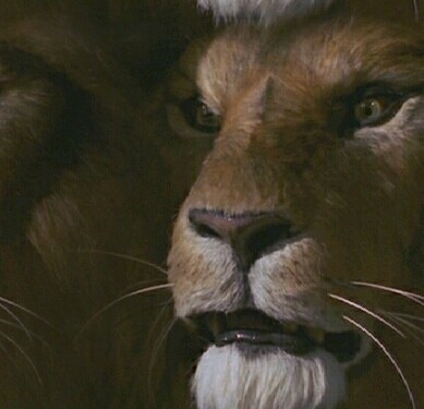 Jumanji Lion 12