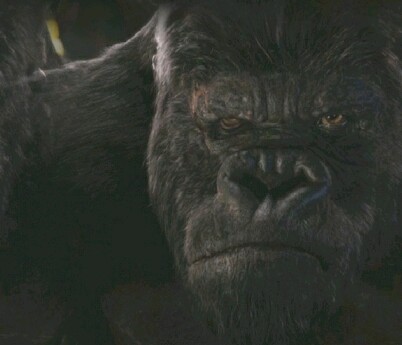 King Kong 51