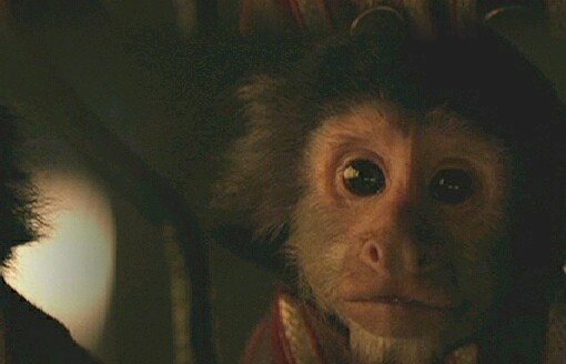Jack the Monkey 49