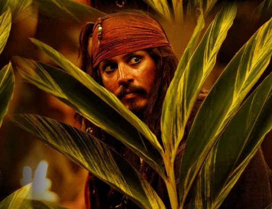Jack Sparrow 5b