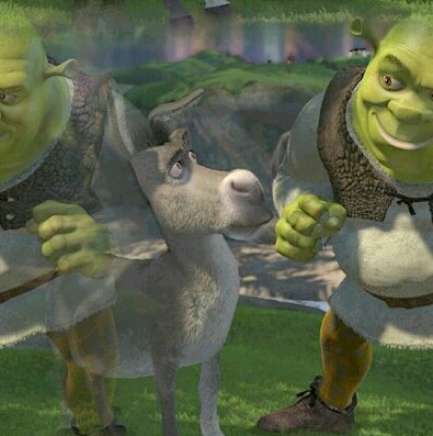 Shrek & Donkey 9a