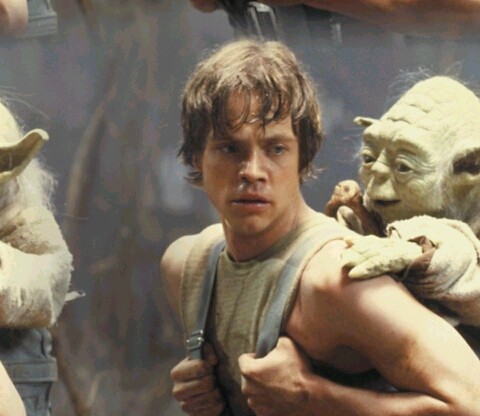 Luke Skywalker & Yoda 3b