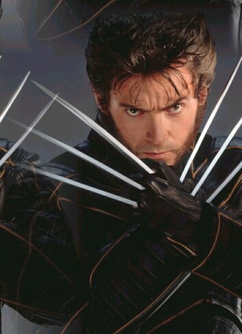 Logan/Wolverine 36